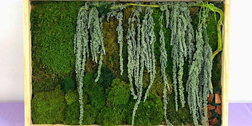 Moss Wall Workshop  primärbild