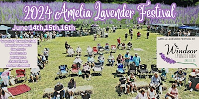Image principale de 2024 Amelia Lavender Festival