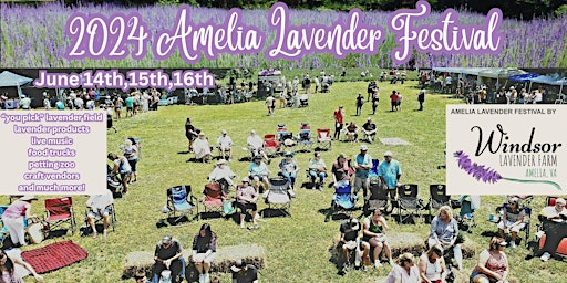Primaire afbeelding van 2024 Amelia Lavender Festival