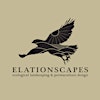 Elationscapes's Logo