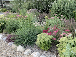 Image principale de Creating a Resilient Garden-Elaine Rude