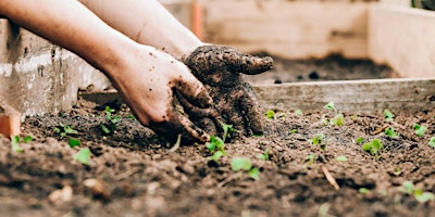 Hauptbild für Green Gardening 101: A Sustainable Home Gardening Workshop