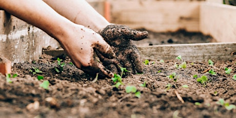 Green Gardening 101: A Sustainable Home Gardening Workshop