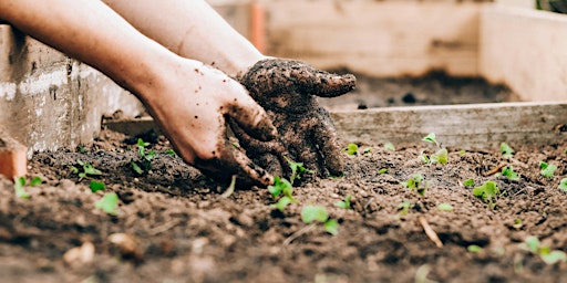 Primaire afbeelding van Green Gardening 101: A Sustainable Home Gardening Workshop