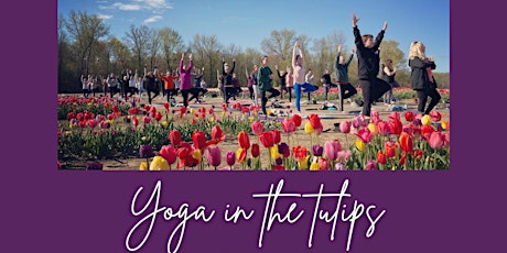 Yoga in the Tulips