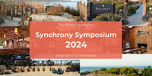 Imagem principal do evento Synchrony 2024