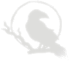Logotipo de Small Raven Media