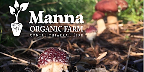 Manna Organic Farm Store Walk 31/08/2019 primary image