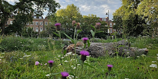 Imagem principal do evento The Clapham Common Guided Walk (FREE but donations go to charity)