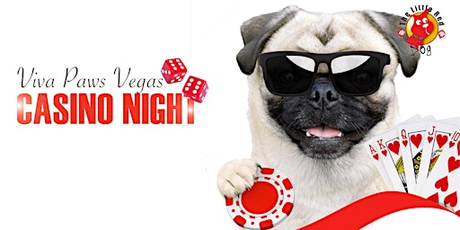 Imagem principal do evento Casino Night