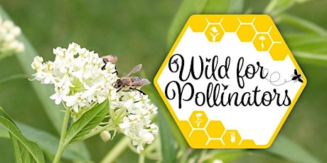 Get Wild with Pollinators