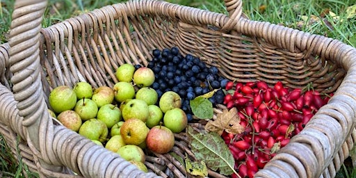 Primaire afbeelding van Spring foraging course