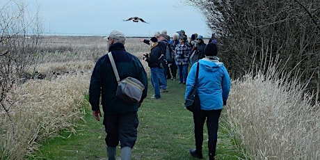 Bus Charter Guided Field Trip to Reifel Bird Sanctuary , Delta BC, Canada primary image