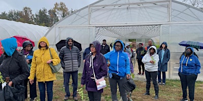 Imagem principal do evento Volunteer & Learn To Grow Organic Vegetables At Asawana Farms