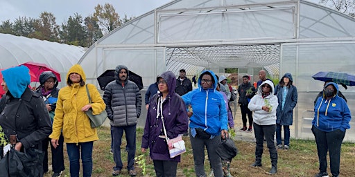 Primaire afbeelding van Volunteer & Learn To Grow Organic Vegetables At Asawana Farms