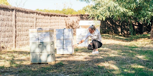 Hauptbild für Bee Farm Tour; Beekeeping 101