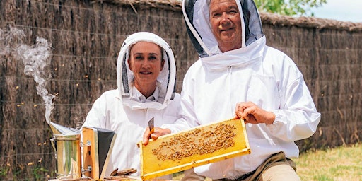 Primaire afbeelding van Shadow a Beekeeper