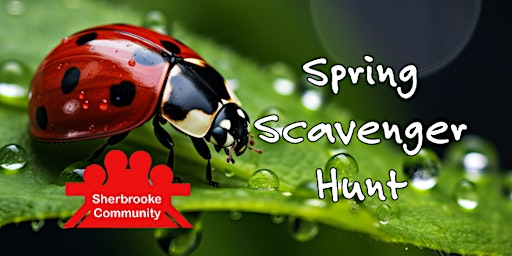 Imagem principal do evento Spring Scavenger Hunt