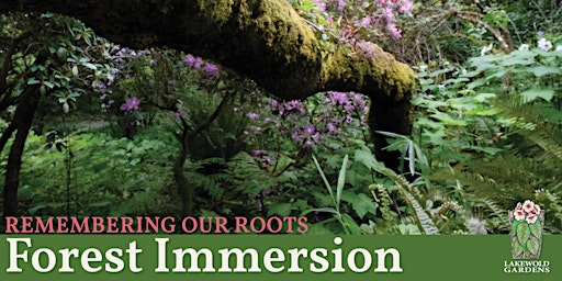 Hauptbild für Remembering Our Roots Forest Immersion