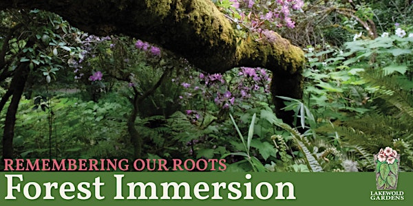 Remembering Our Roots Forest Immersion