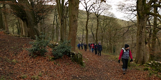 Walk the Moorlands - No risk assessment required - 10.5 miles primary image