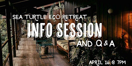 cinder + salt Sea Turtle Retreat - Info Session and Q&A