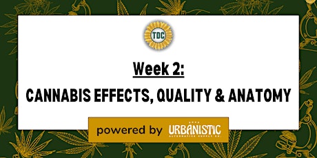 Imagen principal de Grading Masterclass Week 2: Cannabis Effects, Quality & Anatomy