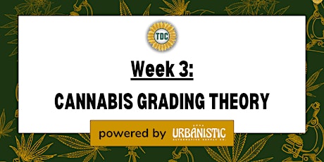 Grading Masterclass Week 3: Cannabis Grading Theory primary image