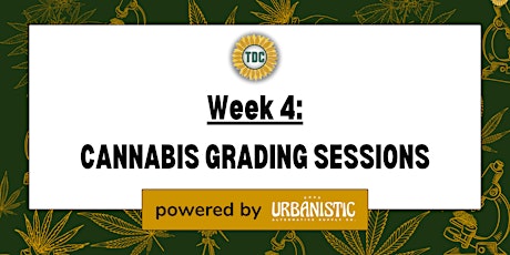 Grading Masterclass Week 4: Cannabis Grading Sessions primary image