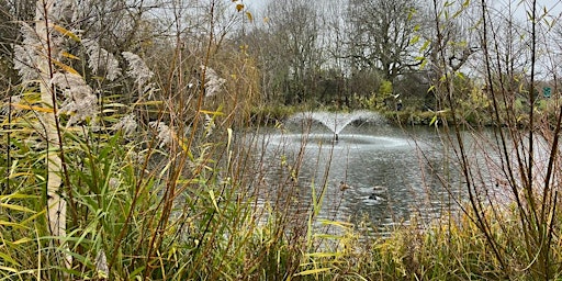 Imagen principal de Park to Park Sunday walk - Highbury Fields to Finsbury Park