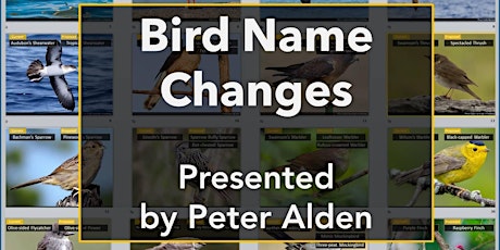 Primaire afbeelding van Bird Name Changes: Creating New Names for North American Birds