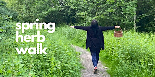 Primaire afbeelding van Late Spring Herb Walk