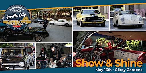 Show and Shine primary image