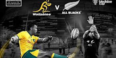Live@!..Bledisloe Cup 2019 Live primary image