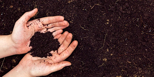 Immagine principale di Composting for beginners 