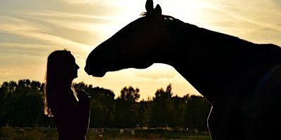 Join us for a One Day Equestrian Retreat! primary image