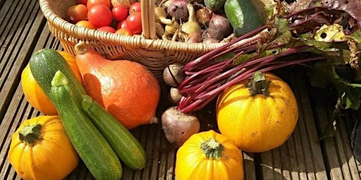 Imagem principal do evento Grow your own veg for beginners
