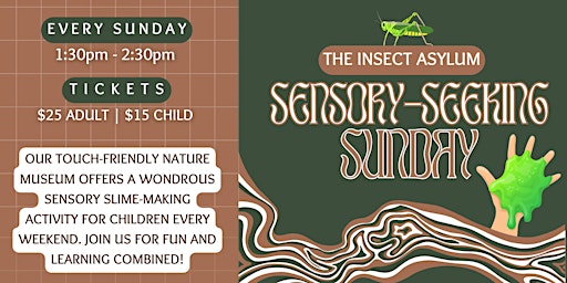 Primaire afbeelding van Sensory Seeking Sunday