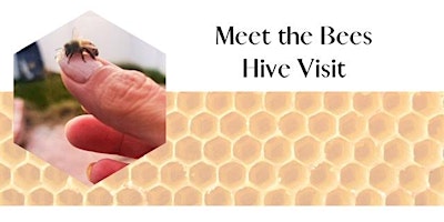 Meet the Bees Hive Visit primary image