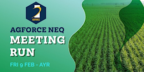 AgForce NEQ Meeting run - Ayr primary image