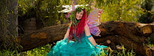 Collection image for Faerie Cara Magic Faeries
