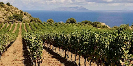 Meet The Maker Series: Winemaker Lunch w/ Giovanni Gurrieri, Sicilian Wines primary image