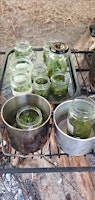 Imagem principal do evento Family Bushcraft in the Brecon Beacons - Workshop 4: Plants & Potions