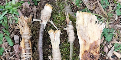 Primaire afbeelding van Family Bushcraft in the Brecon Beacons - Workshop 3: Primordial Art