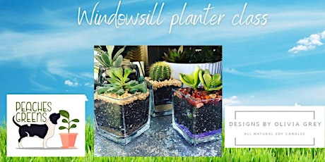 Windowsill Planter Class @ Designs by Olivia Grey