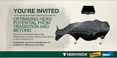 Imagem principal de Optimising Herd Potential from Transition and Beyond: Truro