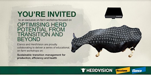 Primaire afbeelding van Optimising Herd Potential from Transition and Beyond: Truro