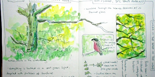 Primaire afbeelding van Nature Journaling with Sharon - 29th April PP
