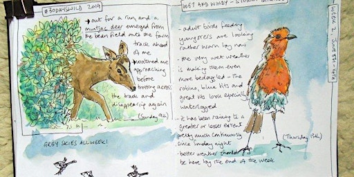 Image principale de Nature Journaling with Sharon - 20th May PP