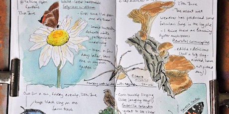 Nature Journaling with Sharon - 24th June PP